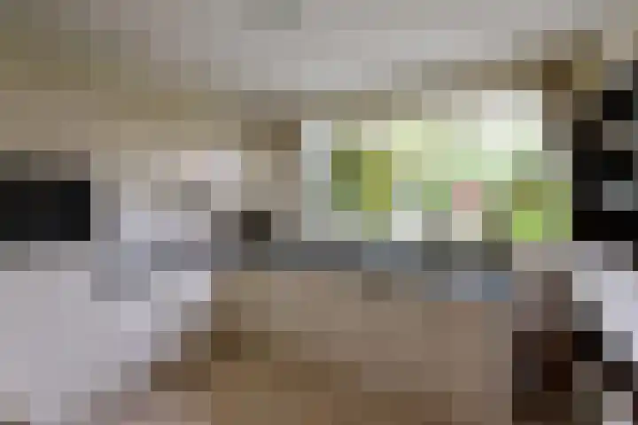Slangekruid 45 Huizen thumbnail 9