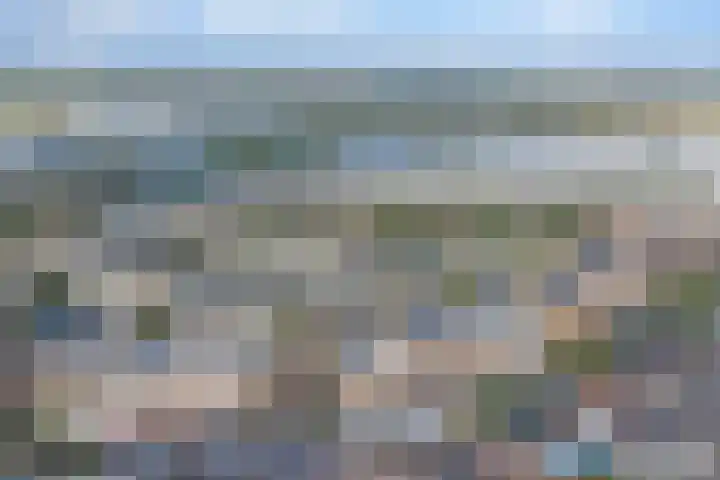 Slangekruid 78 Monster thumbnail 36
