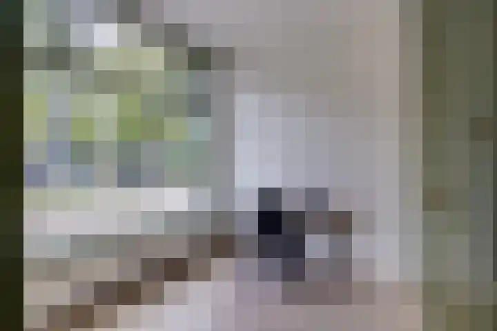 Slangekruid 89 in Monster