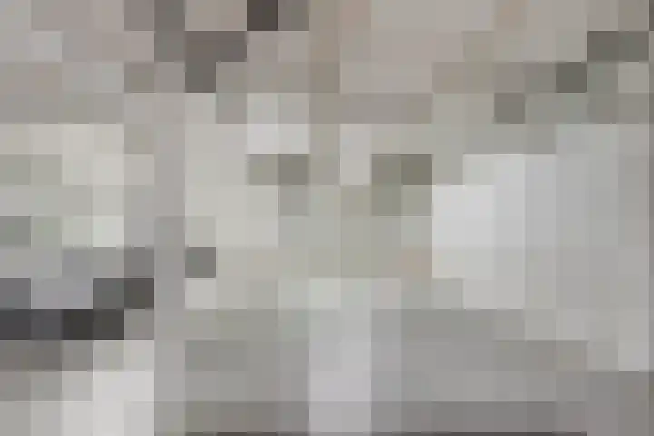 Slangekruid 89 Monster thumbnail 20
