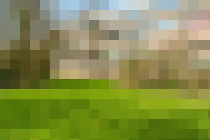 Slangenburg 111 Amsterdam thumbnail 42
