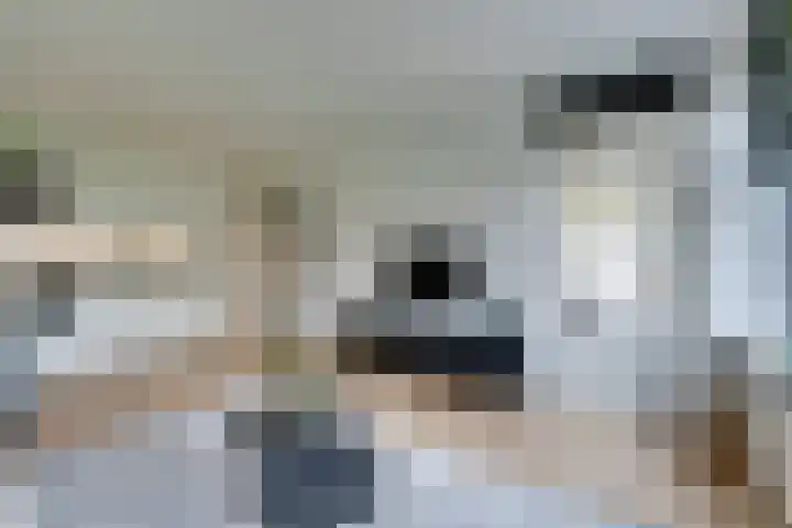 Slangenburg 14 Amsterdam thumbnail 12