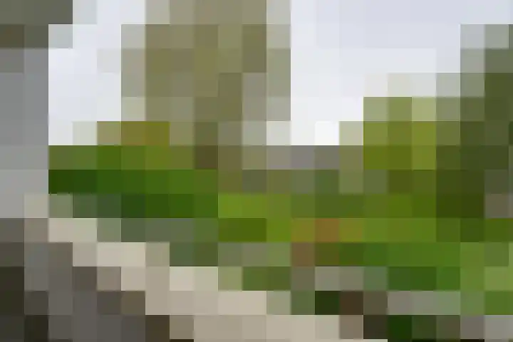 Slangenburg 14 Amsterdam thumbnail 20