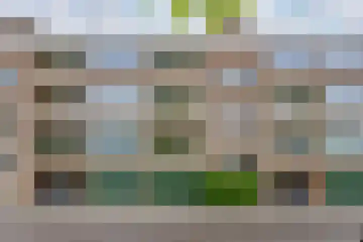 Slangenburg 14 Amsterdam thumbnail 33