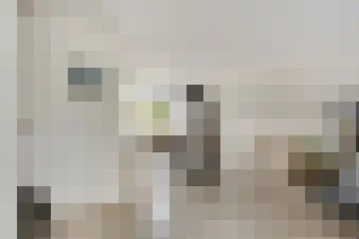 Slangenburg 14 Eindhoven thumbnail 11