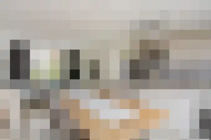 Slangenburg 14 Eindhoven thumbnail 13