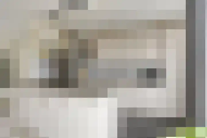 Slangenburg 14 Eindhoven thumbnail 14