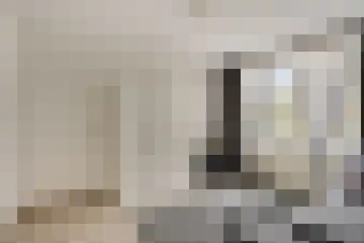 Slangenburg 14 Eindhoven thumbnail 4