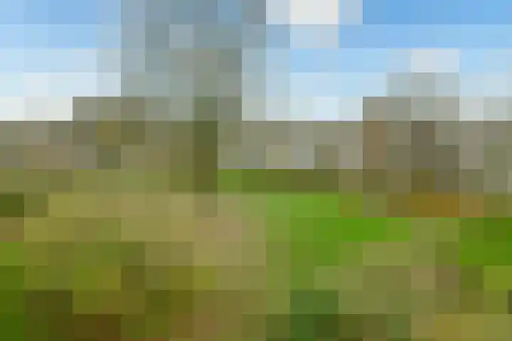 Slangenburg 16 Amsterdam thumbnail 18