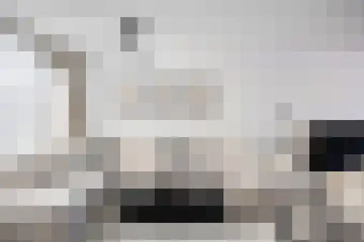 Slangenburg 17 Eindhoven thumbnail 16