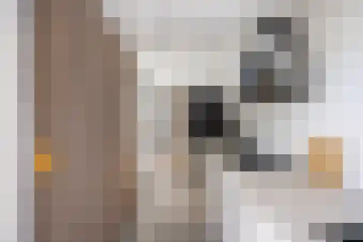 Slangenburg 17 Eindhoven thumbnail 22