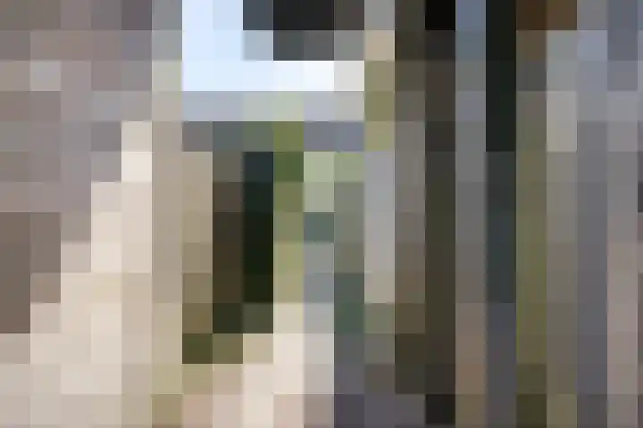 Slangenburg 17 Eindhoven thumbnail 39