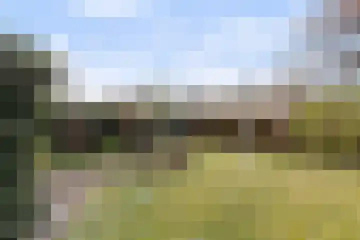 Slangenburg 27 Ugchelen thumbnail 12