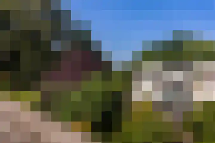 Slangenburg 312 Deventer thumbnail 37