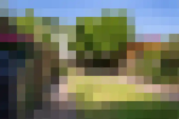 Slangenburg 312 Deventer thumbnail 41