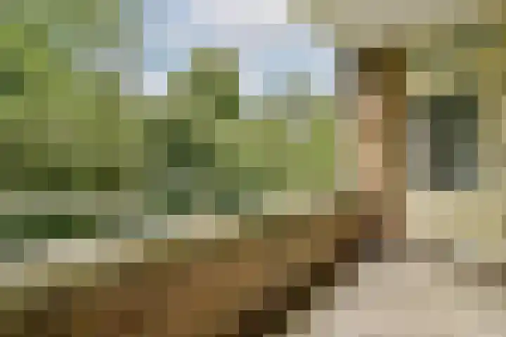 Slangenburg 79 Amsterdam thumbnail 19