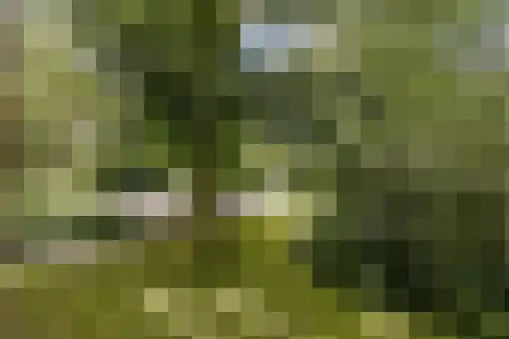 Slangenburg 79 Amsterdam thumbnail 20