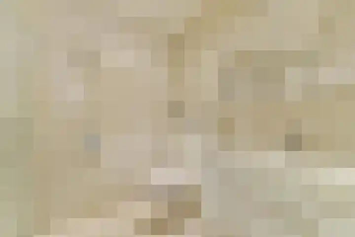 Slangenburg 79 Amsterdam foto 3