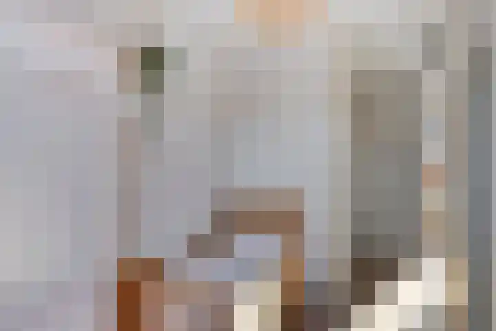Slangenburg 83 Barneveld thumbnail 21
