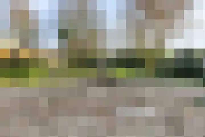 Slangenburg 83 Barneveld thumbnail 31