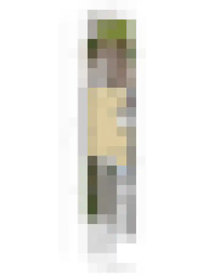 Slangenburg 83 Barneveld thumbnail 37
