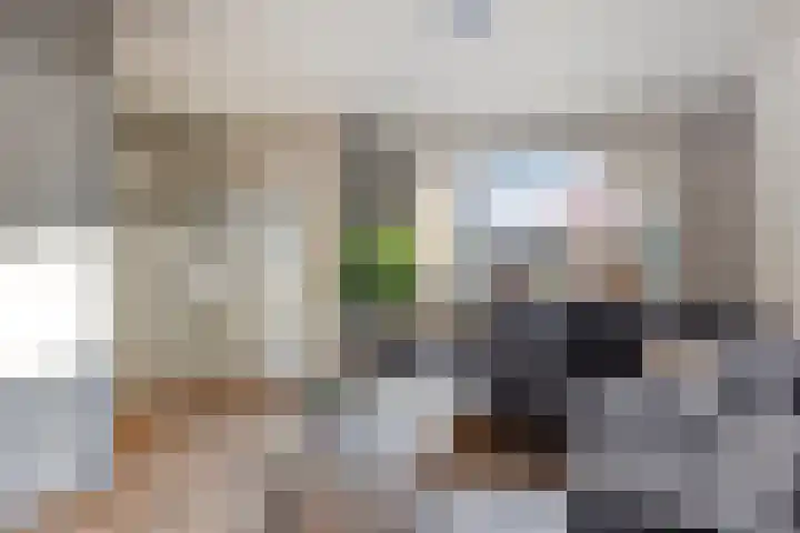 Slangenburg 83 Barneveld thumbnail 6