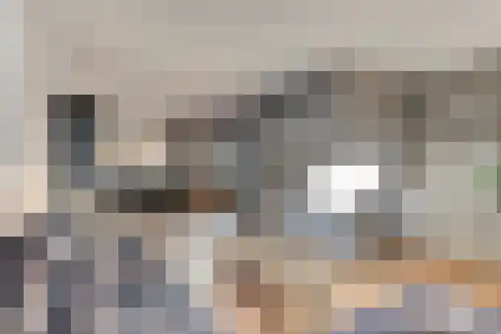 Slangenburg 83 Barneveld thumbnail 8