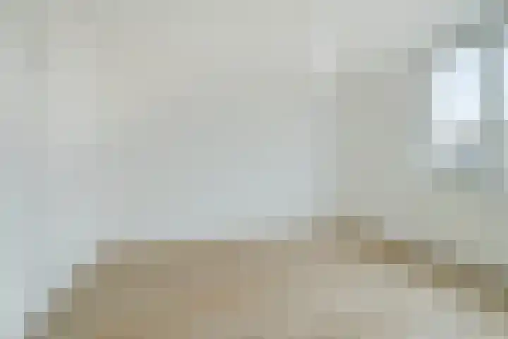 Slangenburgstraat 37 Breda thumbnail 33