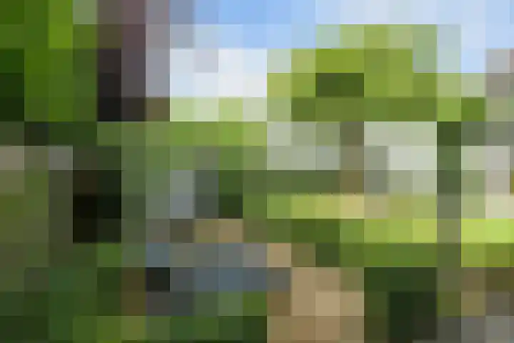 Slangenburgstraat 37 Breda thumbnail 52
