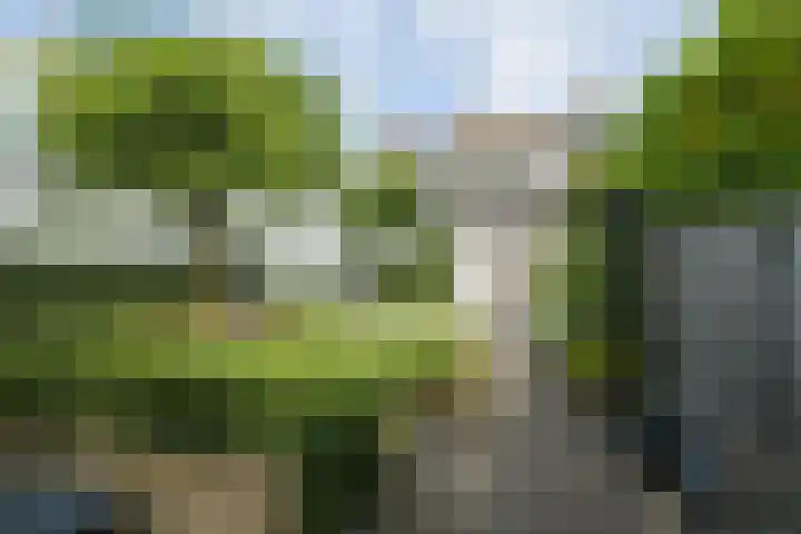 Slangenburgstraat 37 Breda thumbnail 53