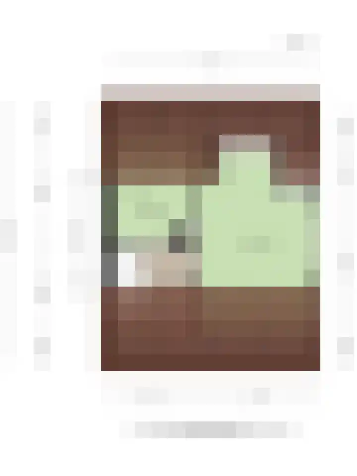 Slangenburgstraat 37 Breda thumbnail 69