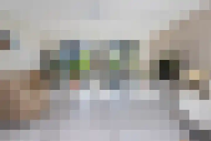 Slanke Waterbies 4 Rijswijk thumbnail 14