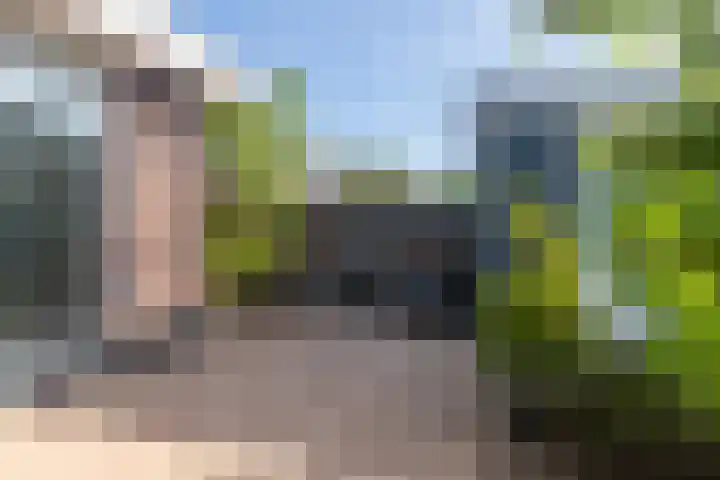 Slanke Waterbies 4 Rijswijk thumbnail 17