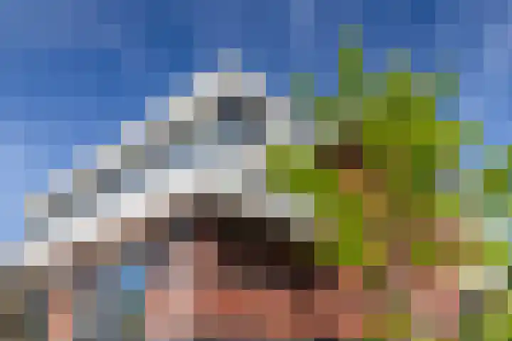 Slanke Waterbies 4 Rijswijk thumbnail 20