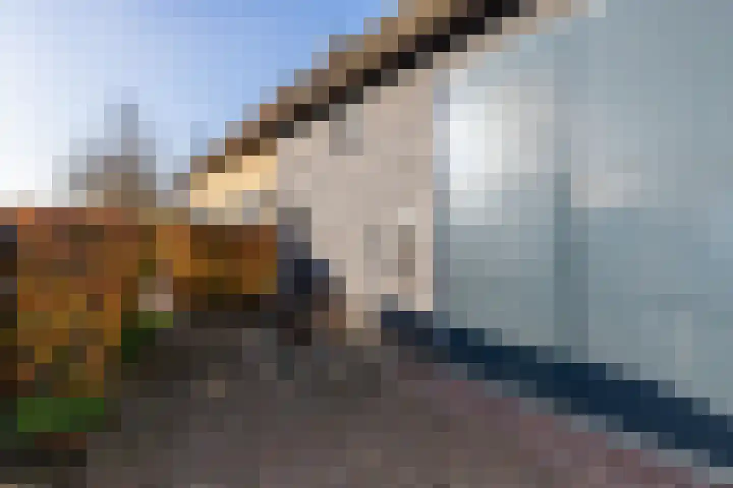 Slanke Waterbies 4 Rijswijk thumbnail 31