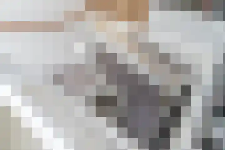 Slanke Waterbies 4 Rijswijk thumbnail 34