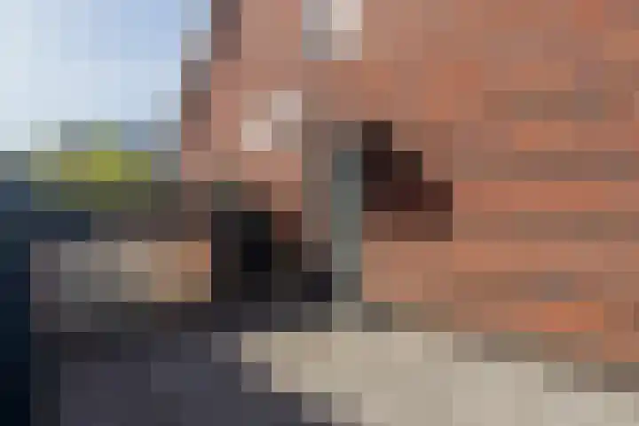 Slanke Waterbies 4 Rijswijk thumbnail 37