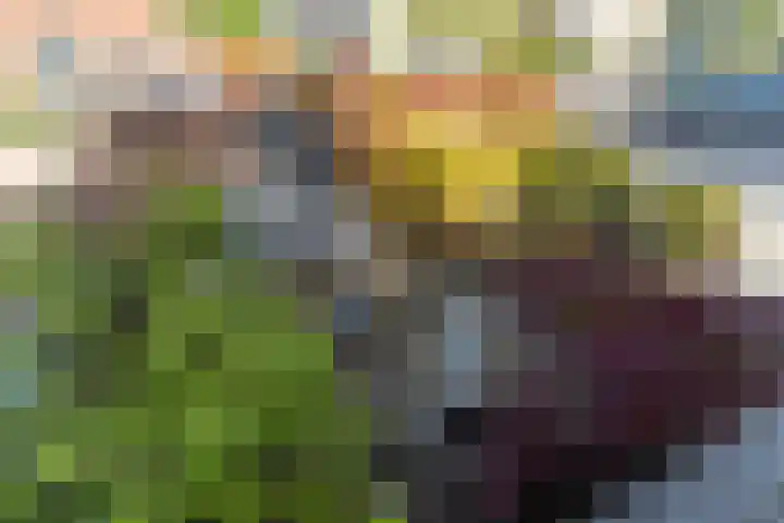 Slanke Waterbies 4 Rijswijk thumbnail 38