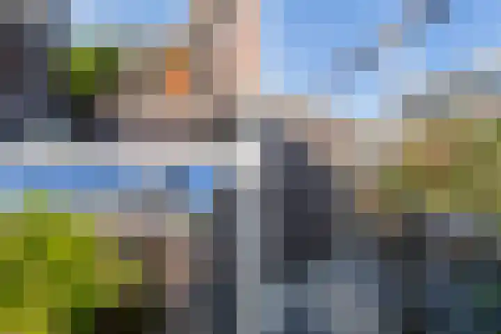 Slanke Waterbies 4 Rijswijk thumbnail 4