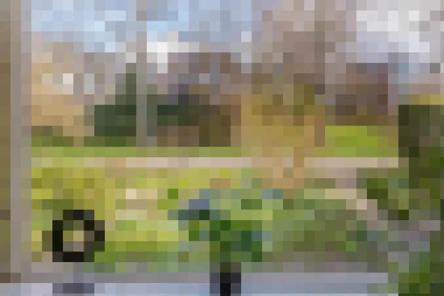 Slanke Waterbies 4 Rijswijk thumbnail 9