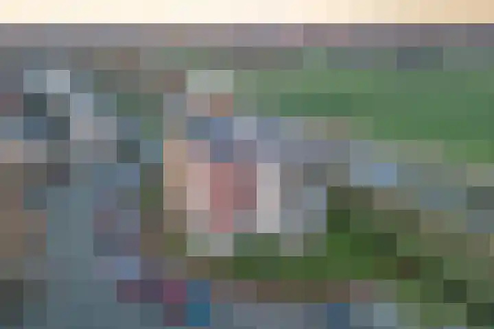 Slaperdijk 29 Leusden thumbnail 5