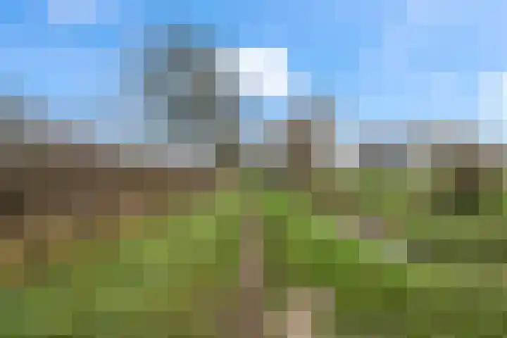 Slaperdijk 29 Leusden thumbnail 68