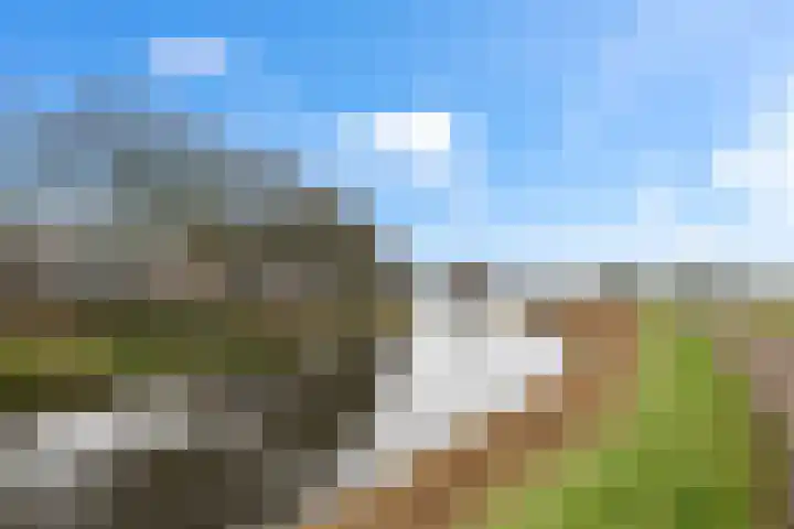 Slaperdijk 29 Leusden thumbnail 73