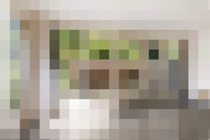 Slathstraat 15 Epe thumbnail 16