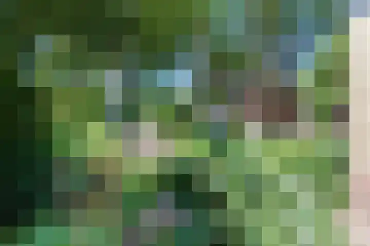 Slathstraat 15 Epe thumbnail 17