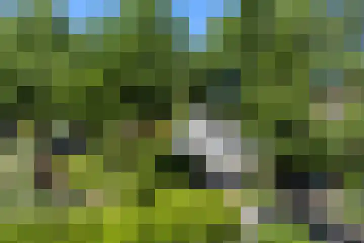 Slathstraat 15 Epe foto 3