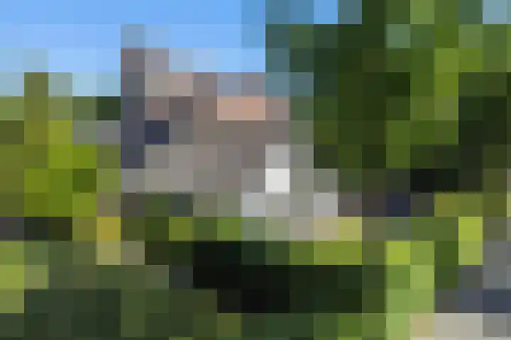 Slathstraat 15 Epe thumbnail 31