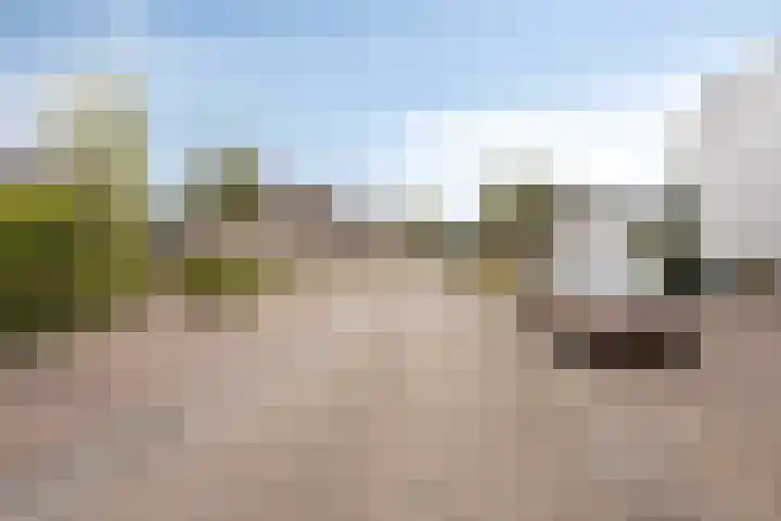 Slathstraat 15 Epe thumbnail 32