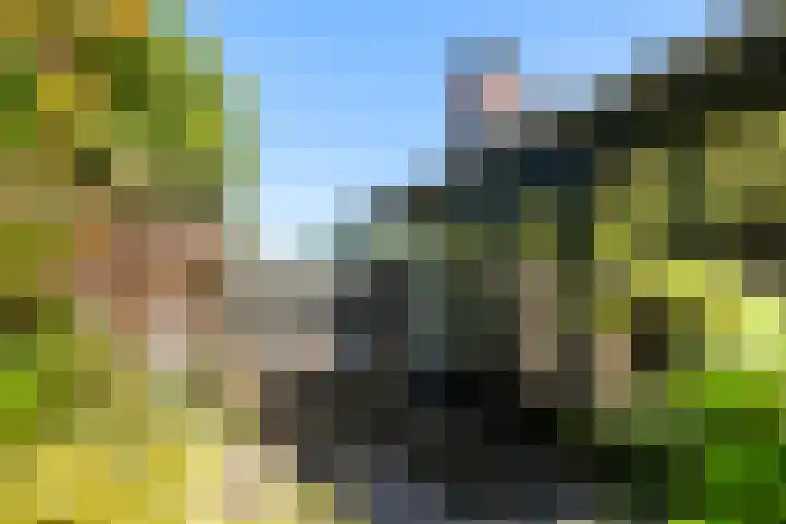 Slathstraat 15 Epe thumbnail 4