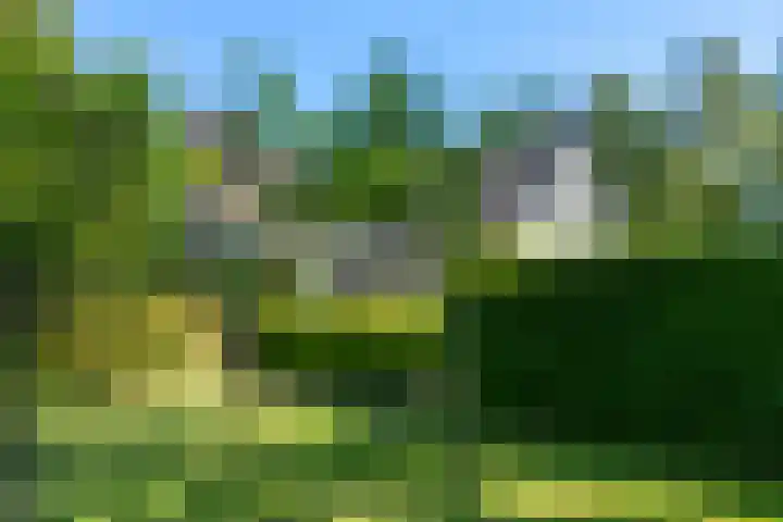 Slathstraat 15 Epe thumbnail 7